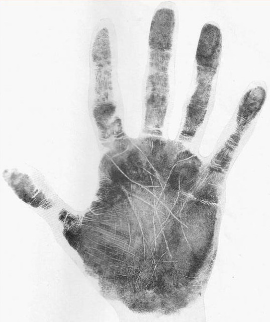 La mano di Cheiro dal suo libro The Language of the Hand,…