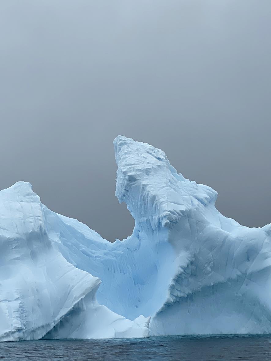 Paola Marzotto, Antarctica Melting Beauty: S 63°41’ 22.530 W 56°59’ 28.578