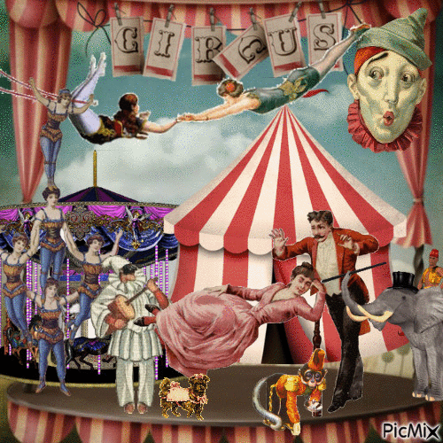 Circus (aut. MMalena fonte: en.picmix.com).