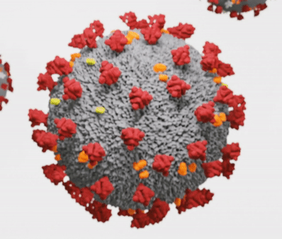 Modello tridimensionale del coronavirus, in rosso arancio le spicole (fonte commons.wikimedia.org).