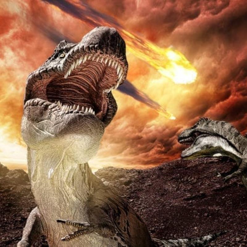 Dinosauri, ultimo atto (news.curtin.edu.au).